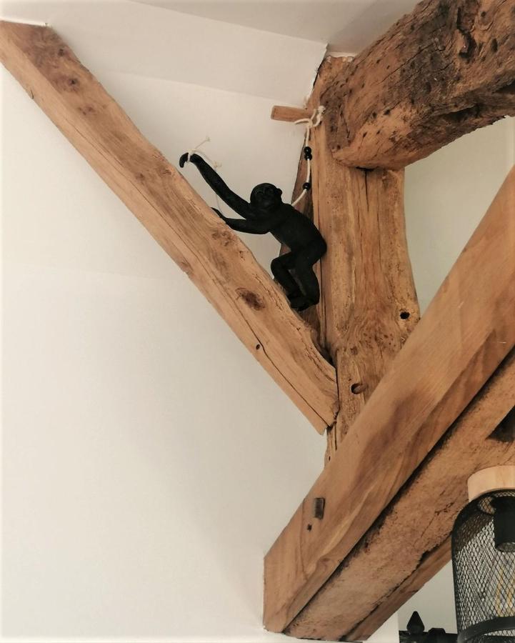 Gite La Terrasse Du 37 Breteil Kültér fotó